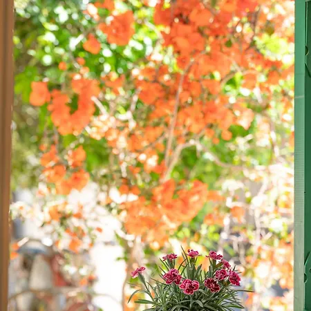 Apartamento Fran Agios Spyridon (Corfu)