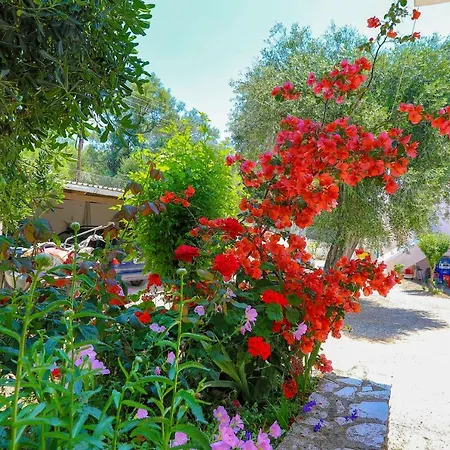 Fran Agios Spyridon (Corfu)